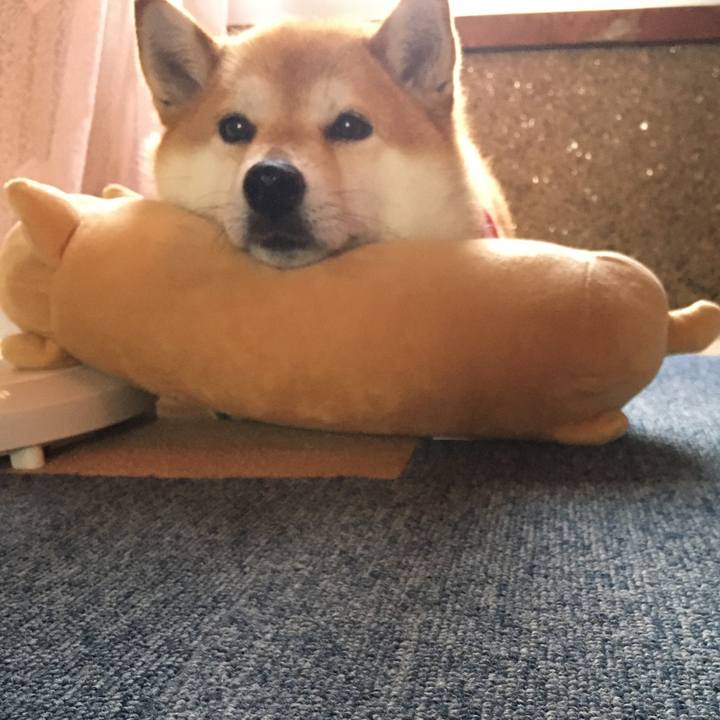 E59658ba 2b8a 485d b008 dcd9c59edba3 1594531005341