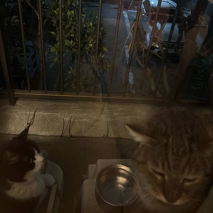 E596651b 18a0 41b8 a749 19809e547667 1771929363556