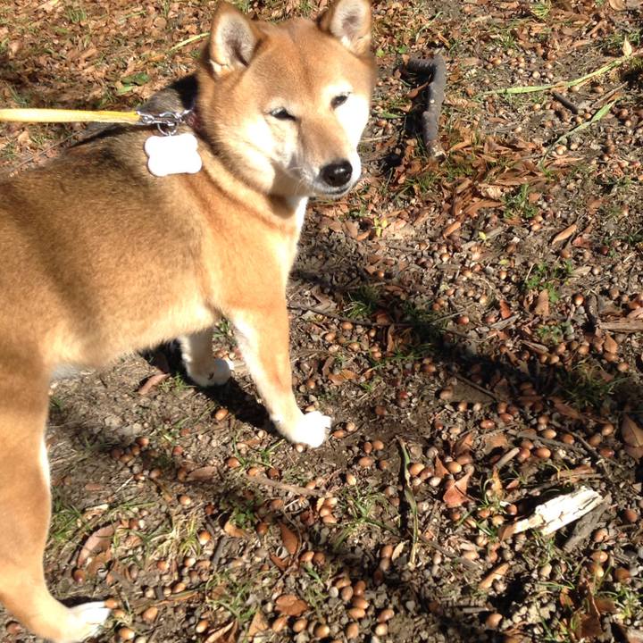 E59666d6 1570 415e ba07 40eed8a844da 1514287706694