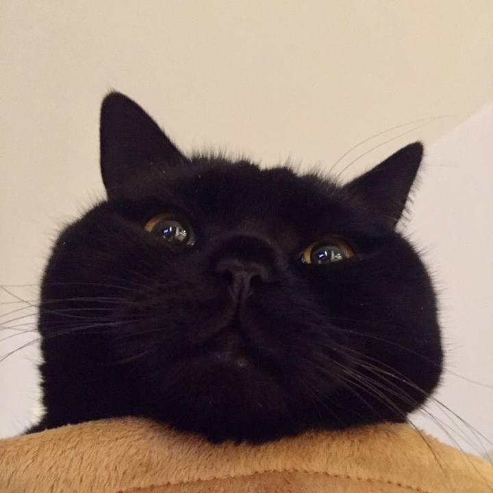 E5966bb3 493a 4776 81cd 2e2b45cbedde 1585485281238