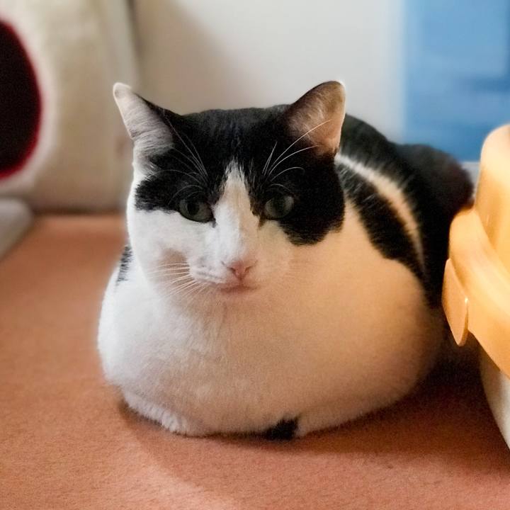 E5968e4e 1e0f 4c6e 9503 d2ee65aebb79 1517308355885