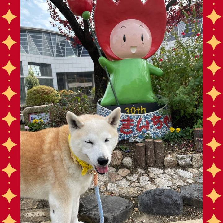 E596a230 0ffb 44d4 b1ef 4c812722903a 1639282560763