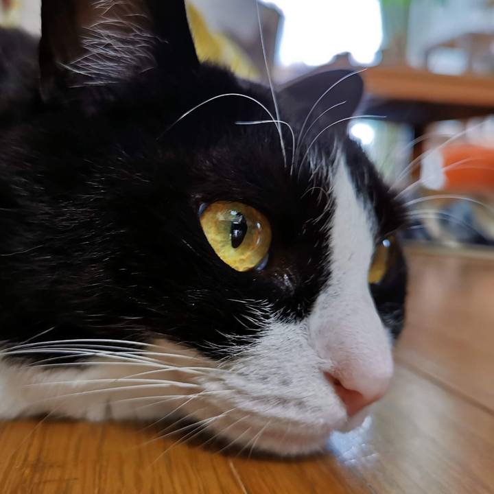 E596abb5 a7f6 4fc2 9cb7 992ff2fc4bd8 1657598201440