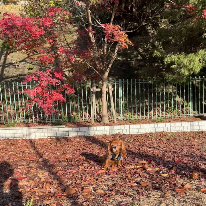 E596b9f3 8e22 4c85 9d90 dcd8abb8f387 1670365800755