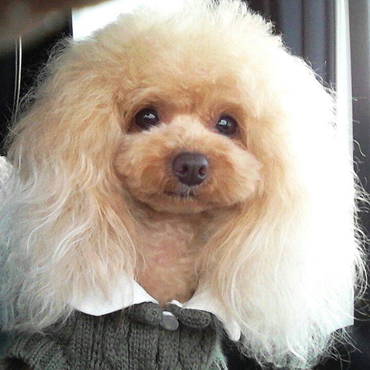 E596e663 3ccb 4f8f a359 ec27107f09fb 1548588252942