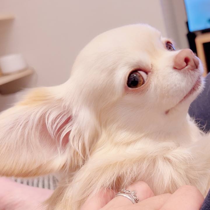 E5970b72 1963 448d ba18 e0daed68107b 1732794432163