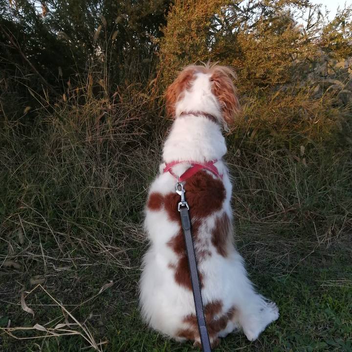 E5971dc6 e86a 4ddf b274 537c4b363b9e 1573213717177