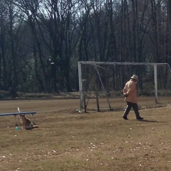 E5972032 74a4 4f06 9ea9 18401a2d53b9 1516081800860