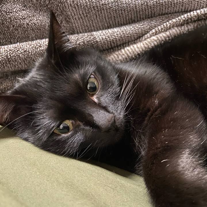 E5973210 905a 497f ab6c 4ad78b623500 1709896678210