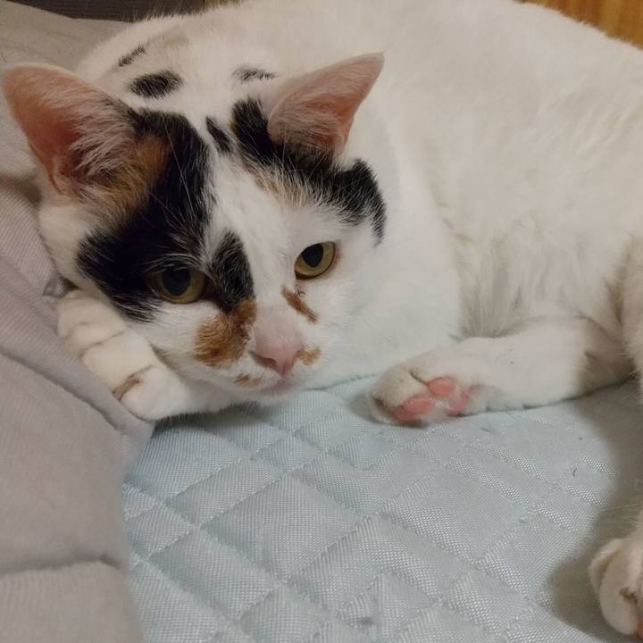 E5978aba ff48 4c08 a1c5 da790f6412f5 1628602707713