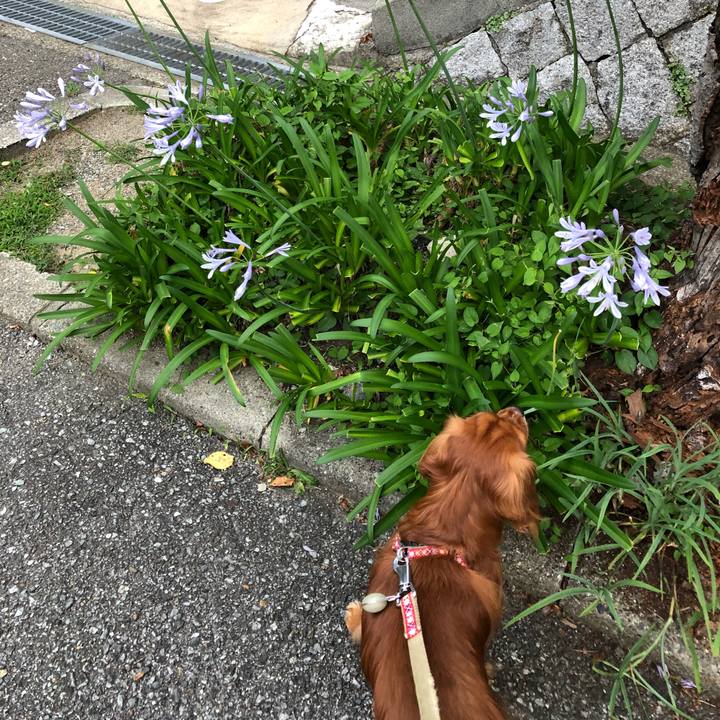 E597d3d1 707e 4000 9ce0 9b1d0ad0c202 1530331668369