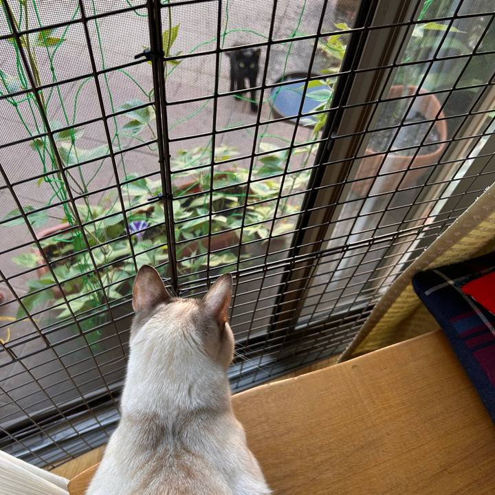 E597f069 bc61 4a79 a4f8 c7b2539c8568 1753395538571