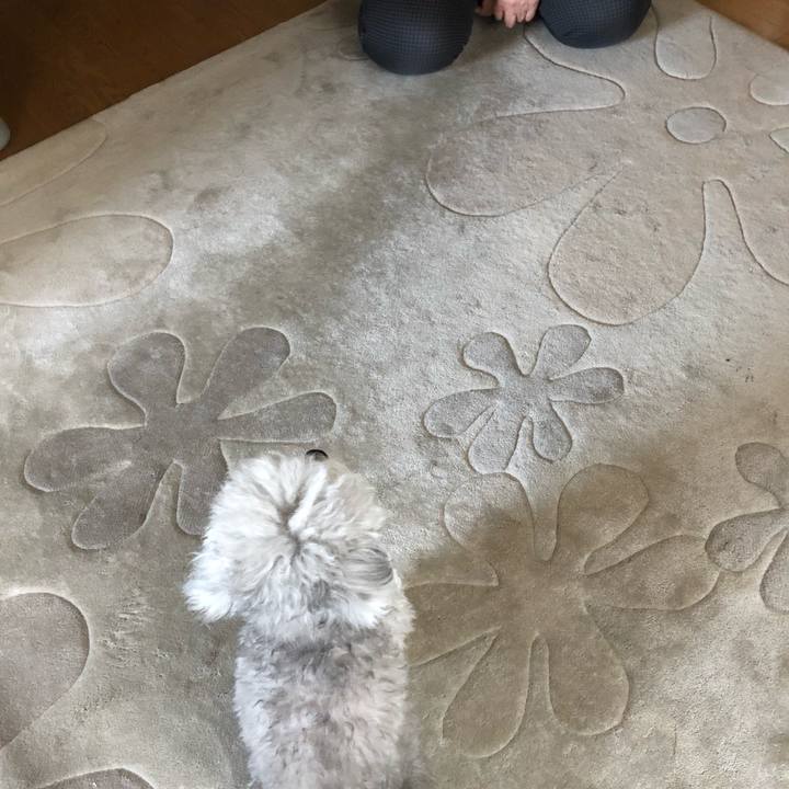 E598269b 7b06 42b6 9671 f3508ddd7060 1614210319534