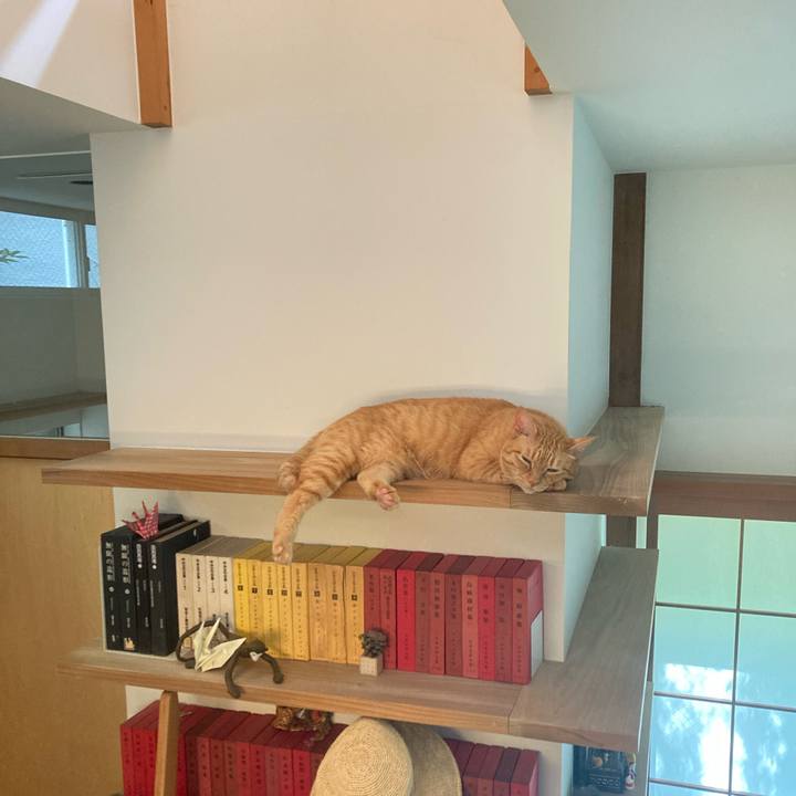 E5982e34 e5a8 40d1 b90b 1eb5c93397f9 1722123332896