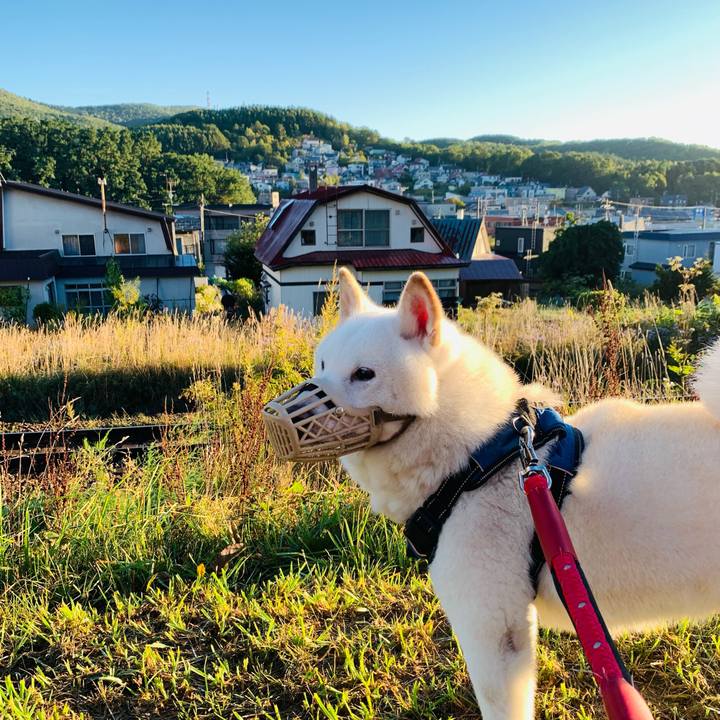 E5983daa 2cbf 4f72 b533 31f892849957 1663796160929