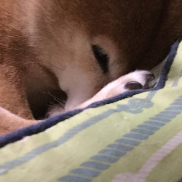 E59870e5 6597 46b5 860f 9c4a03a7208c 1611811538539