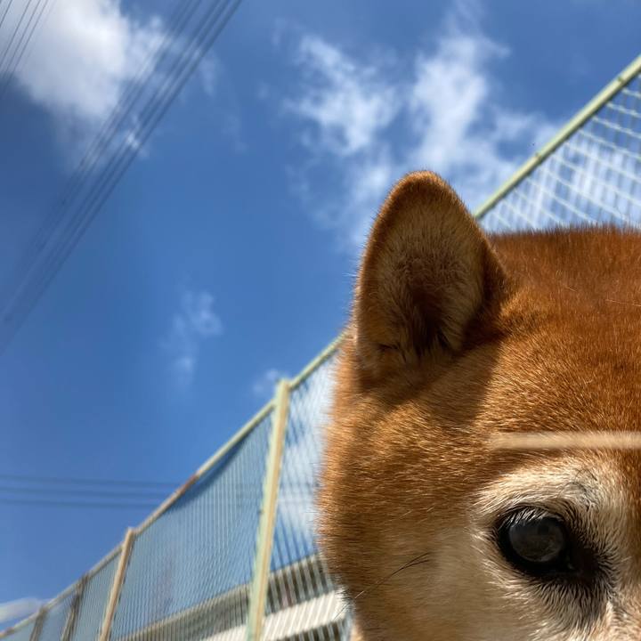 E598cd81 501e 4f8b 8eae 522717a9bb2b 1688000050169