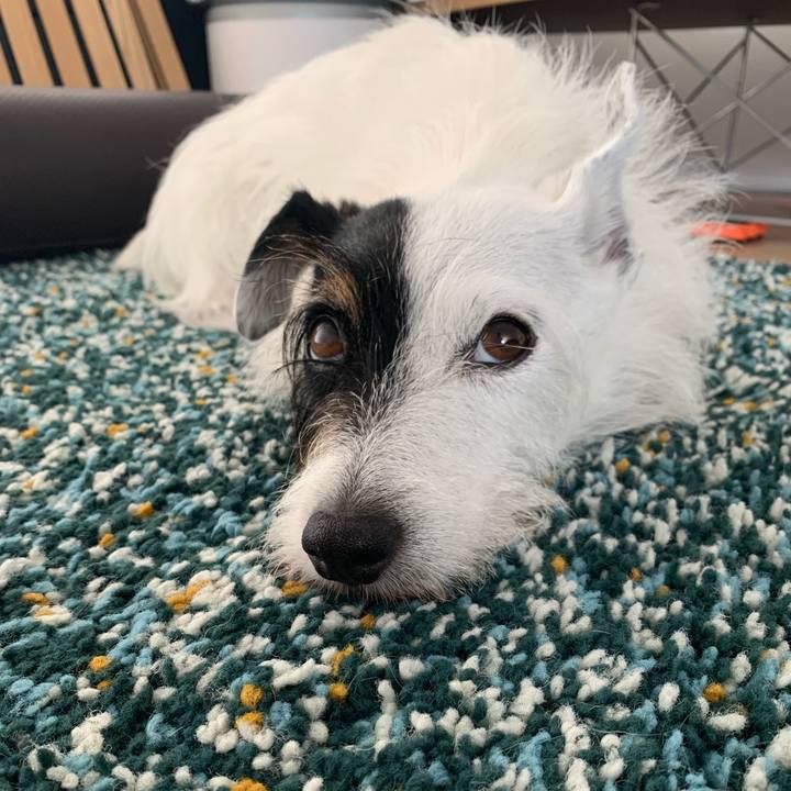 E598ef2c 1ed5 4f6b ba14 2460f984e9d3 1690417328076