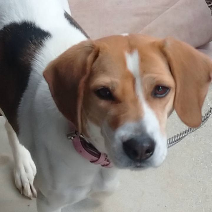 E598f2ef 7165 4cea b9d7 28fed12b4b41 1580448062847