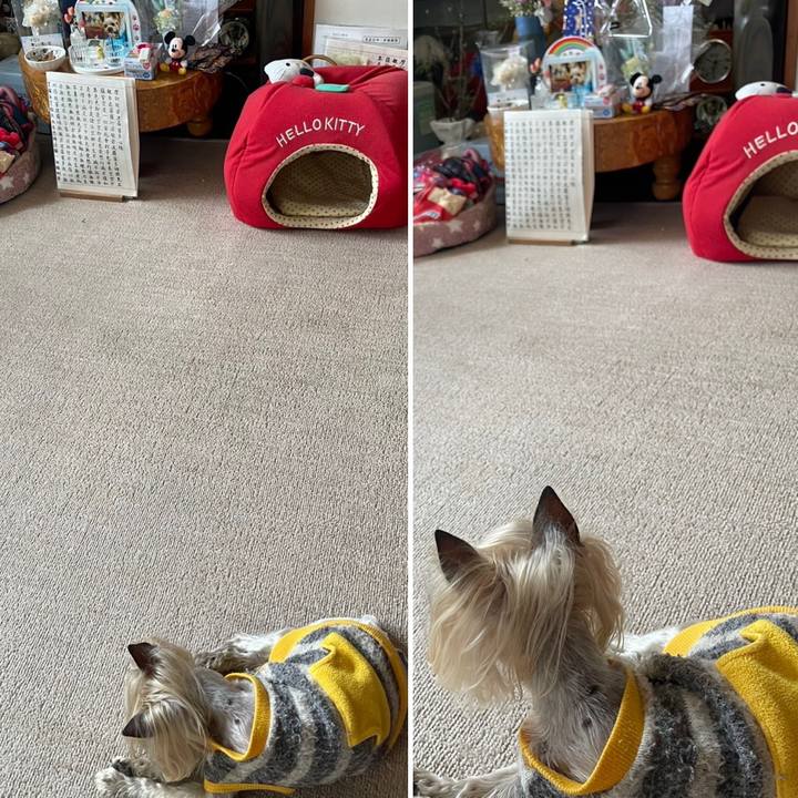 E5993340 dc53 4595 864d 2aa0e4576c92 1711879993242