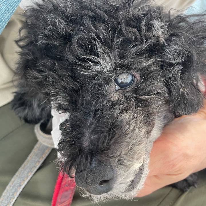 E59960de 76e9 442c 92f1 31d1a003b01e 1757647164968