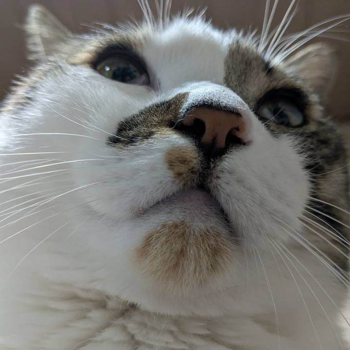 E5999a8e 5f46 434e 8291 13ac98c31c6f 1769946835057