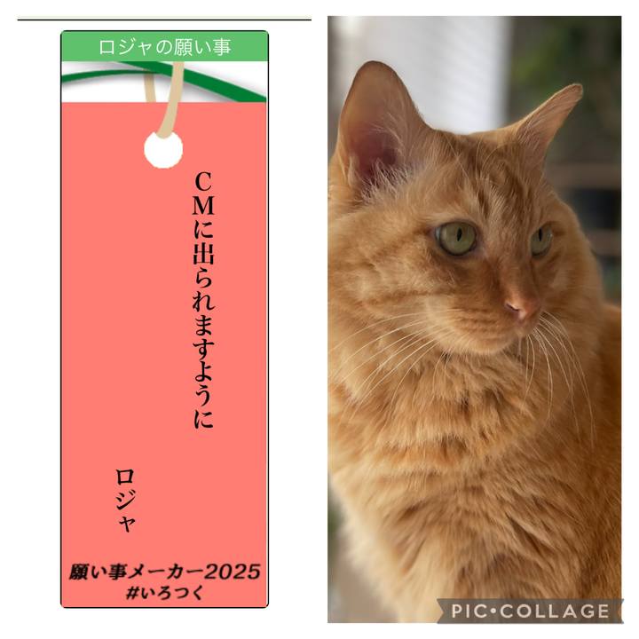 E599c4e9 9d22 4be2 8127 2f22c4ca7759 1751961009061