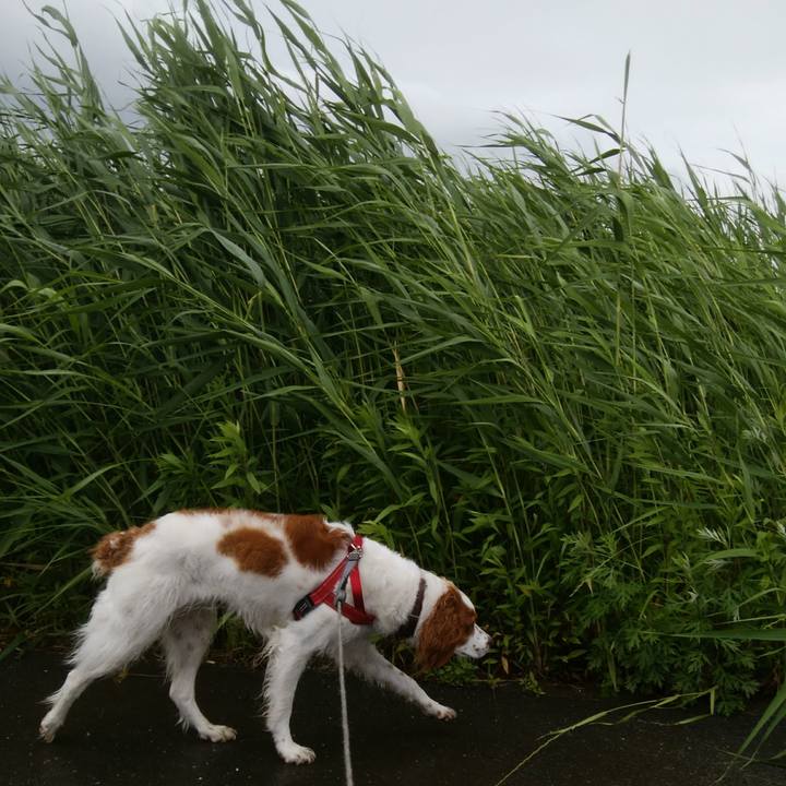 E599ccd3 9ddf 4f10 ae3b 8117ecf2a809 1527670633916