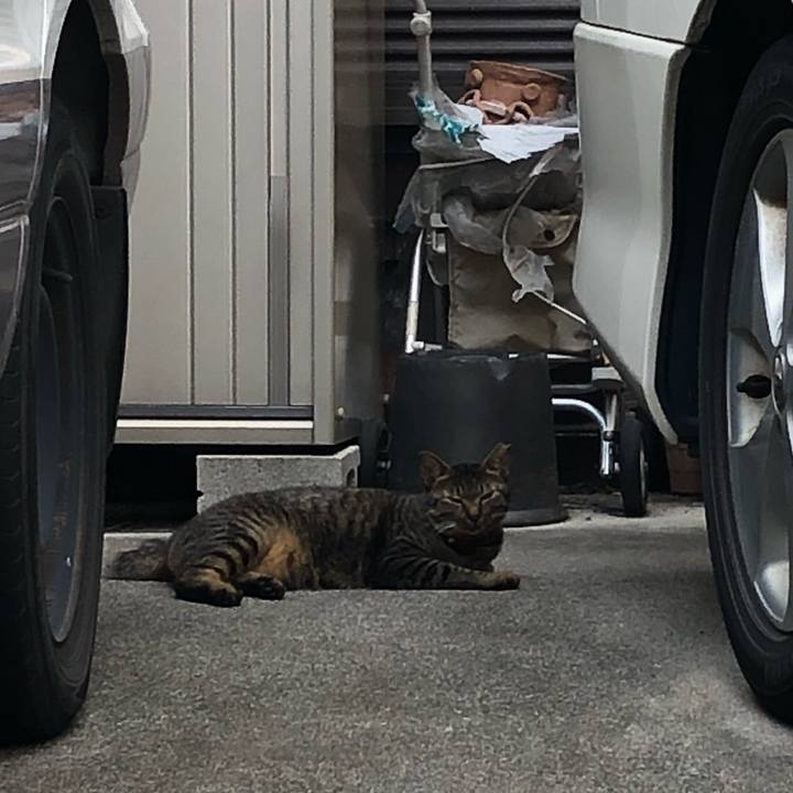 E599f181 807d 449e 872e 4a6081ed5c07 1633426304145