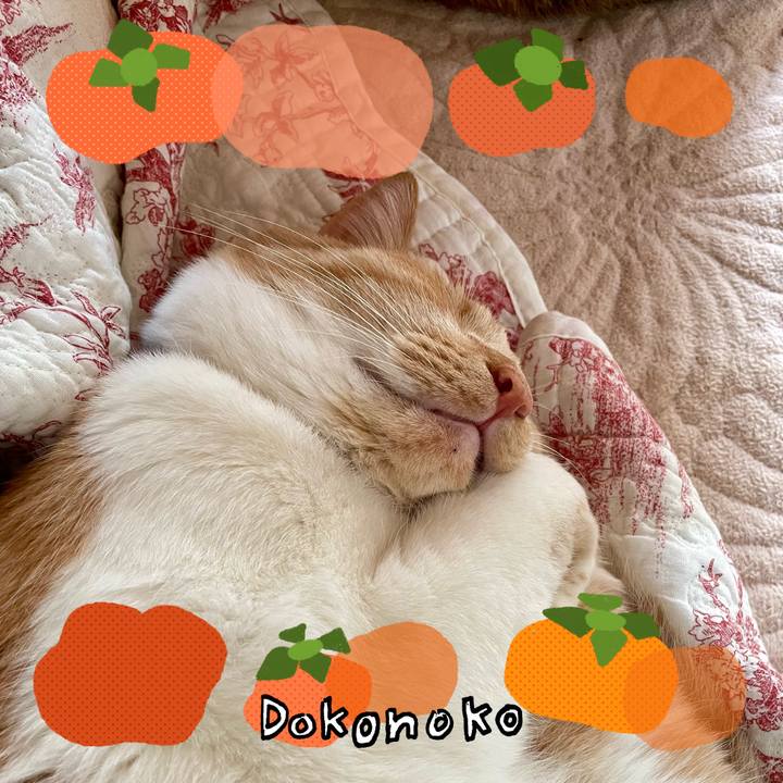 E599f289 c55e 4026 ac89 094877b7332e 1761961740530