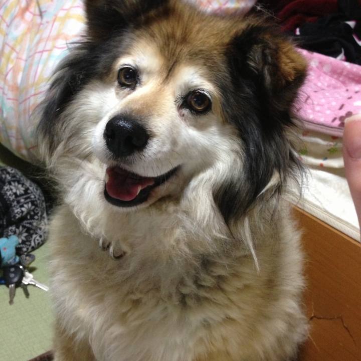 E59a0693 b34c 4a1f ae96 3762d48ba6aa 1650352615292