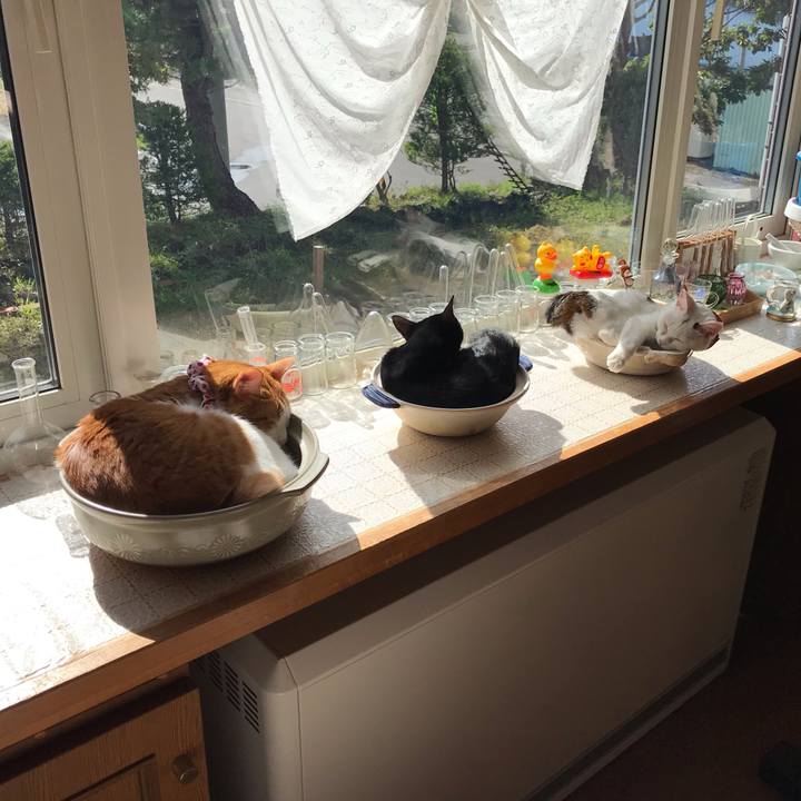 E59a1925 b9b5 4a9c 85bf 8096d9ff8378 1569051429014