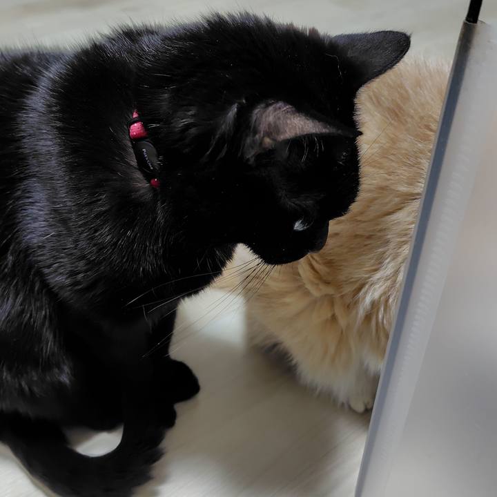 E59a5d4d f6ab 48f4 838d 5d22480ed976 1764922934201