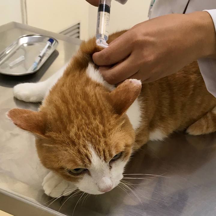 E59abc1f 9953 46c9 b93d 1e4990d9bd7c 1571724221898