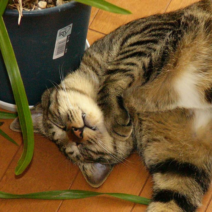 E59aedff 3482 41b5 a18f 5447e33981a7 1580644863279