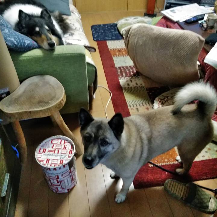 E59aef7a 1eef 4102 83a6 2ab265b302e8 1544194244857