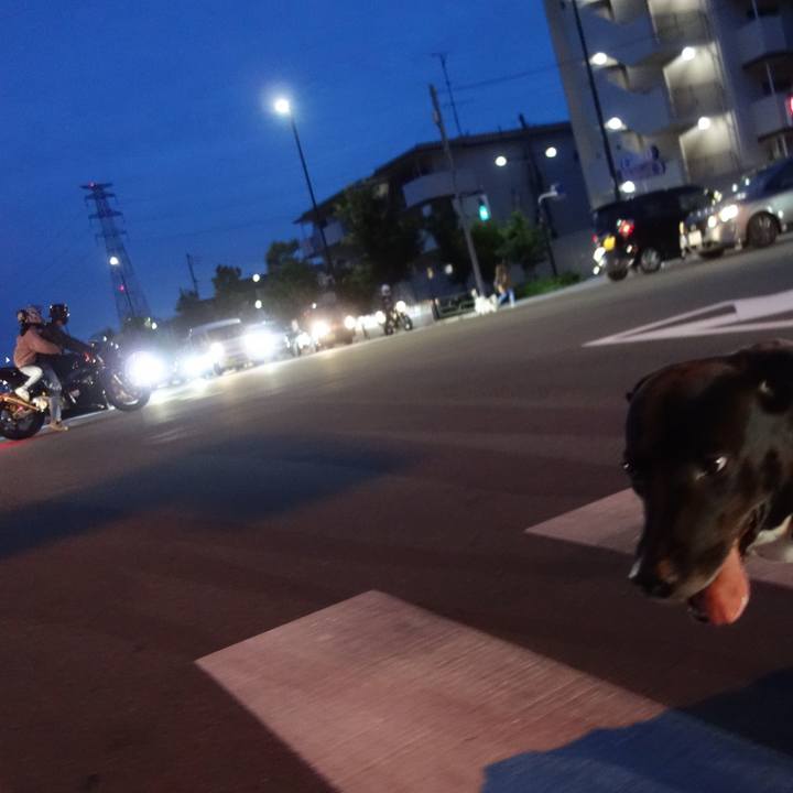 E59afe58 66c5 4371 91af 55b733d65c6f 1631009218369