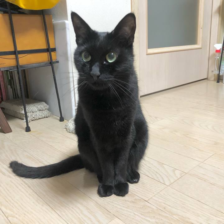 E59b151d e1f3 40a1 946f 7c07ede7ff77 1638880833875