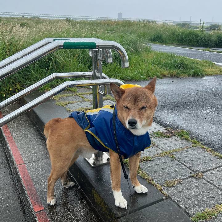 E59b1ef9 af02 468d b1f0 2d2480f610dd 1683446267017