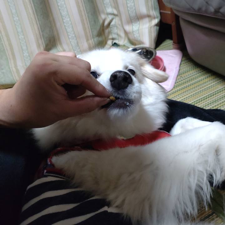 E59b48d8 c9a9 4f8f 97fc ea011b70201c 1641958099716