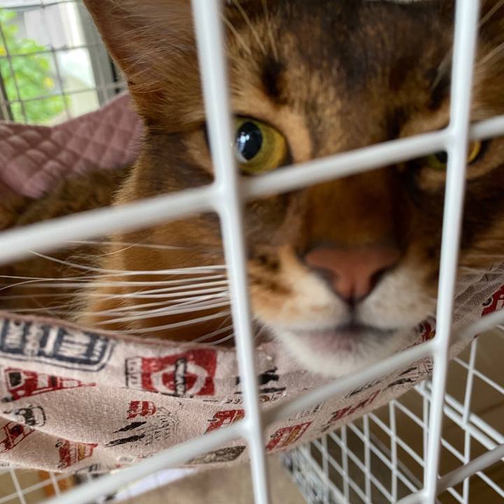 E59bb353 294b 4a50 af08 51ea4de3c35a 1632889493316