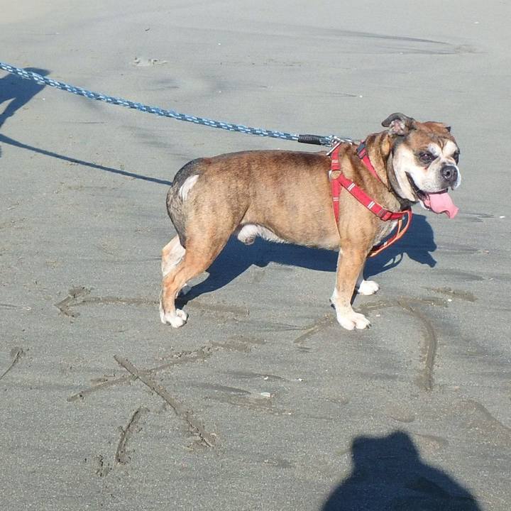 E59bd15c 99db 4efe 89b4 c7d52cd3f787 1538055725056