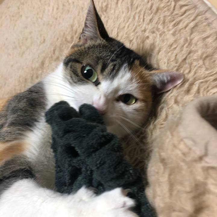 E59bda81 8cbb 44ee afb8 5d1e27cf2457 1614362541113