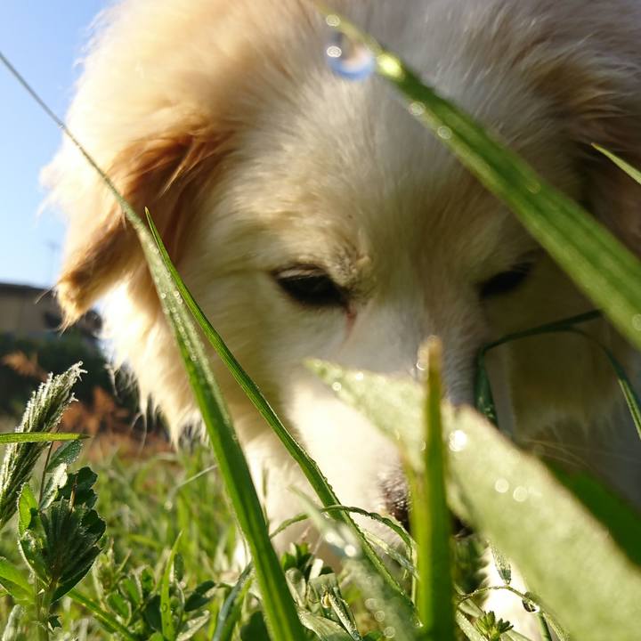 E59bfd5f dc02 4607 b056 aa40f6d82ef3 1524087912639