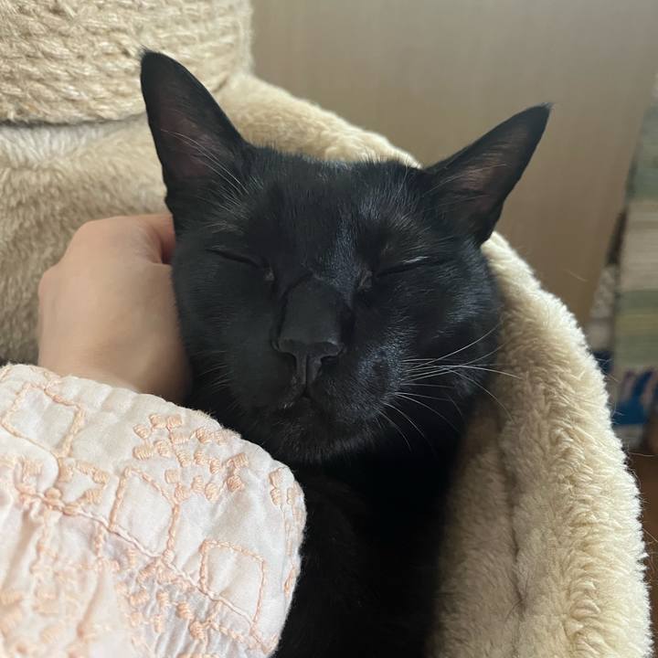 E59c0204 10e7 4e63 bddc 7322ca6a988b 1684973339696