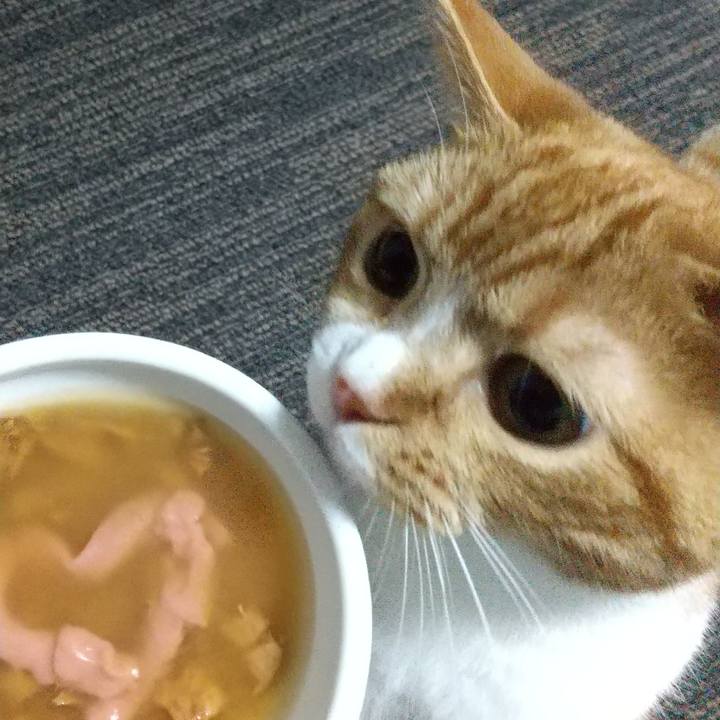 E59c2967 6018 4679 8a8d 05d116355f63 1655266379208