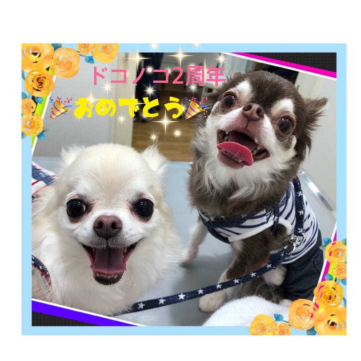 E59c6479 fb5f 490b 8f60 15732b48bc26 1527995317439