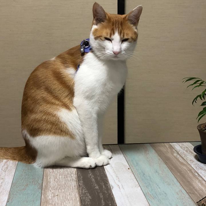 E59c6c32 93e3 4aa4 a675 b35614365f85 1540801826832