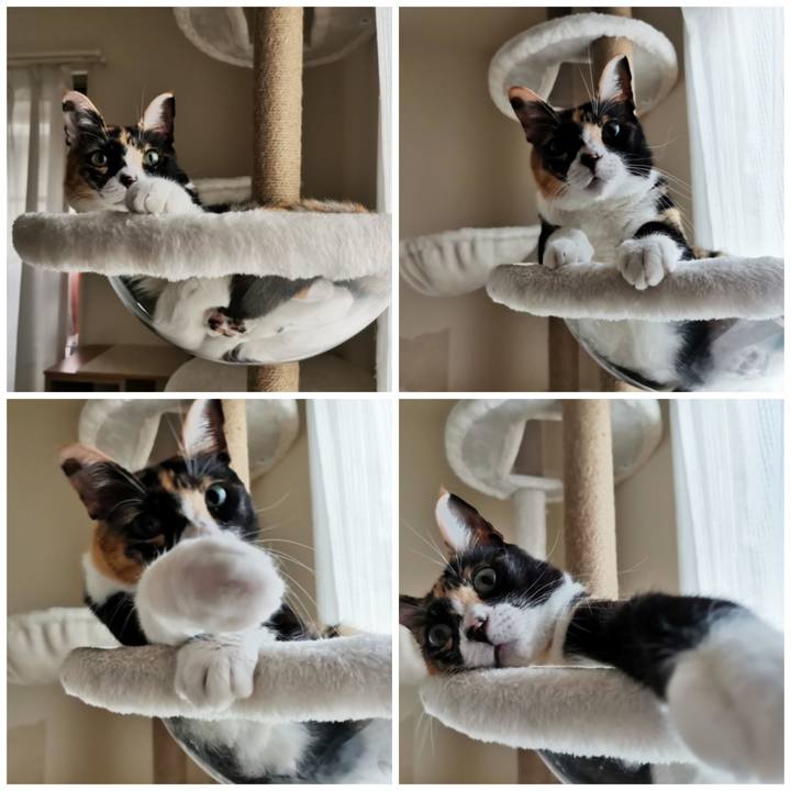 E59c8324 ded3 469a 9c0b fa656e4cfa72 1661743713604