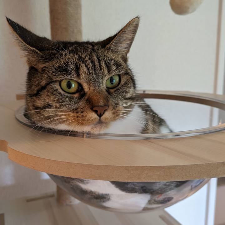 E59ca799 b01b 4f76 b8f6 16ece1032574 1688961264287